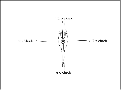 AIP ENR 6.2_At Anchor2